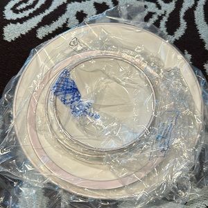 BRAND NEW VERA WANG PINK DUCHESSE PLATE SET